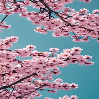 spring phone wallpaper