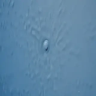 image blue