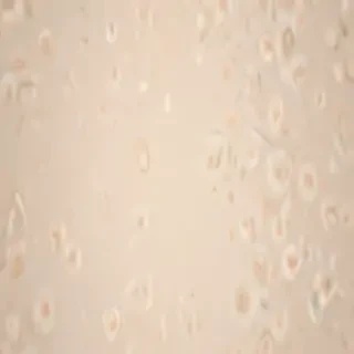 cream aesthetic wallpaper