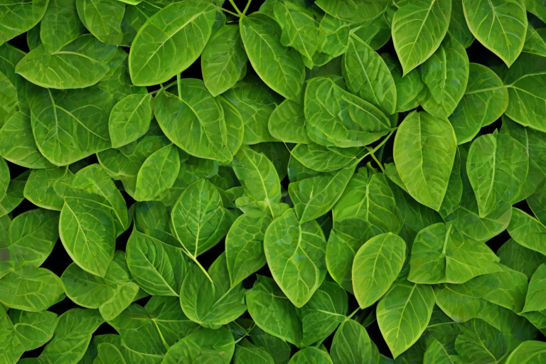 leaf background green