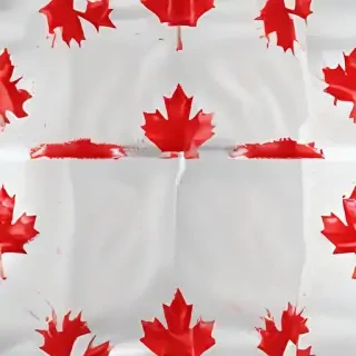 canada flag transparent