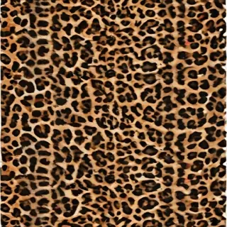 leopard print png