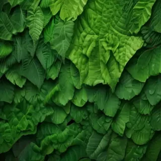 green iphone background