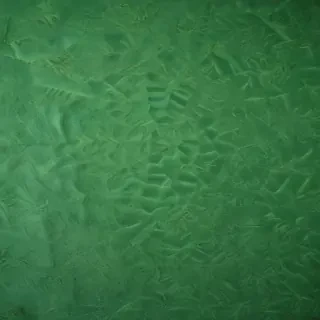 textured green background