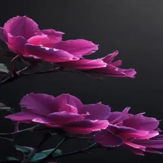 wallpaper for phone aesthetic black