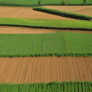 farmland png