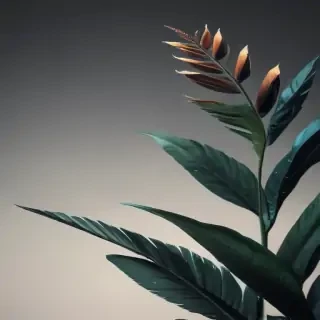 minimalistic iphone wallpaper