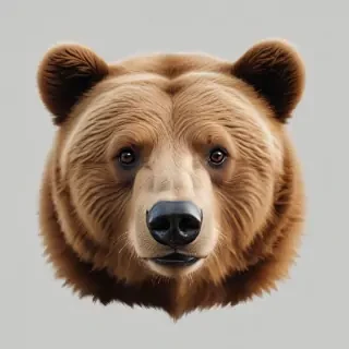 bear png