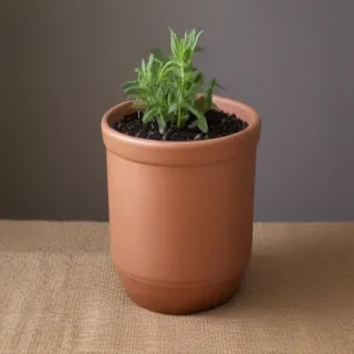 pot images