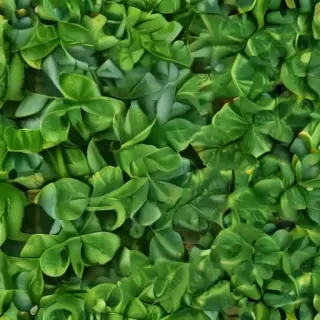 leaf background green