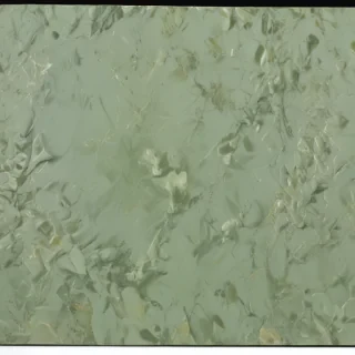 sage green bg