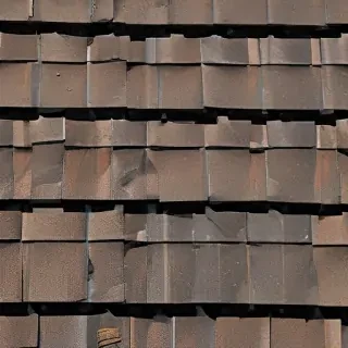 picture of shingles