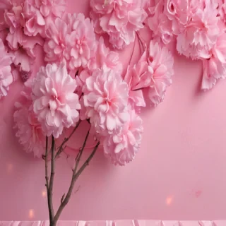 pink background cute