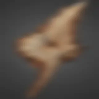 cracked png