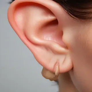 ears png