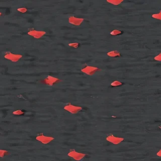 sock png