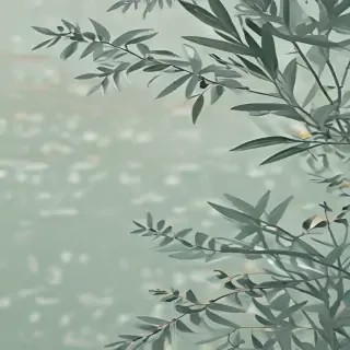 sage aesthetic wallpaper