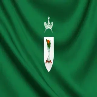 nigerian flag png