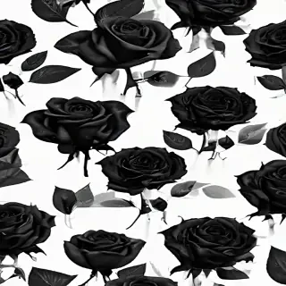 black roses png