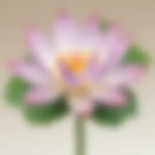 lotus png