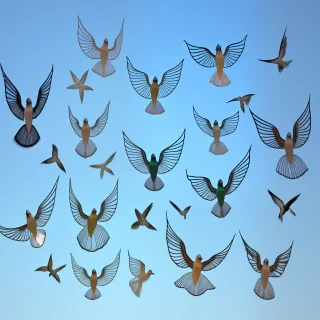 transparent birds