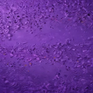 cute backgrounds purple