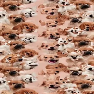 dog wallpaper aesthetic