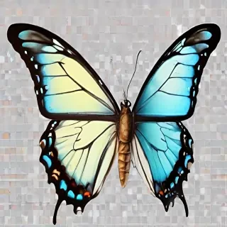 transparent background butterfly clipart