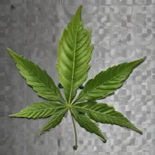 pot leaf png