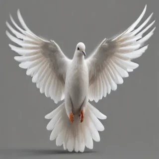 dove png
