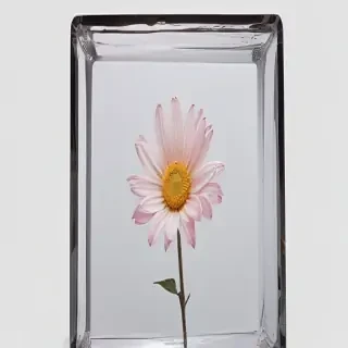 aesthetic transparent images