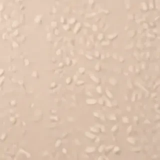 soft beige aesthetic wallpaper