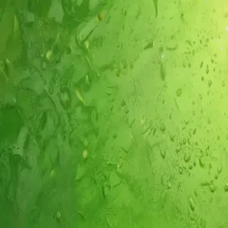 lime green background