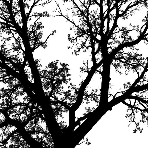 Generate an image of a black silhouette of a tree against a white background, captured with a Canon EOS 5D Mark IV, 50mm lens, aperture f/8, ISO 100, in a high dynamic range style with a shallow depth of field.