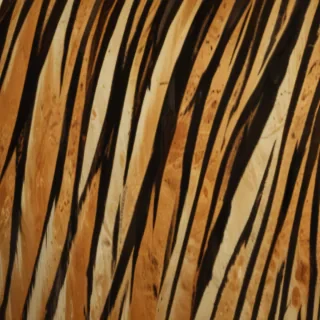 tiger stripes png