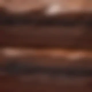 brownie png