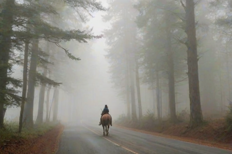 Foggy countryside road, flanked by tall trees, a woman on horseback rides slowly through the mist, her figure barely visible as the fog thickens around her.