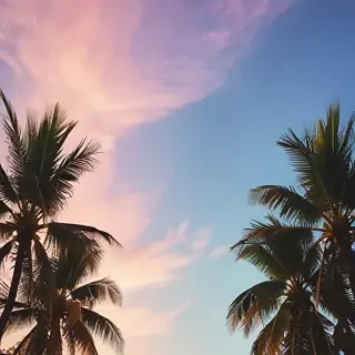 summer iphone wallpaper