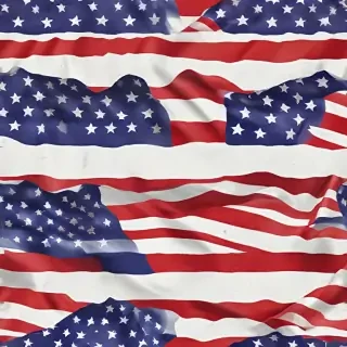 usa png