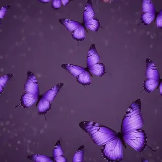 wallpaper purple butterfly