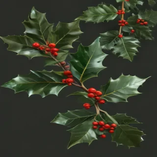 holly png
