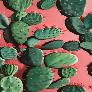 cactus wallpaper iphone