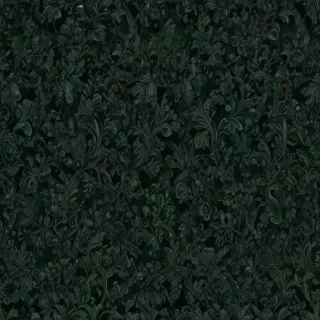 dark green bg