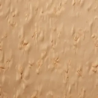 grain paper texture