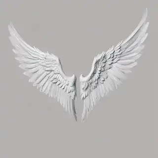 angel wings png