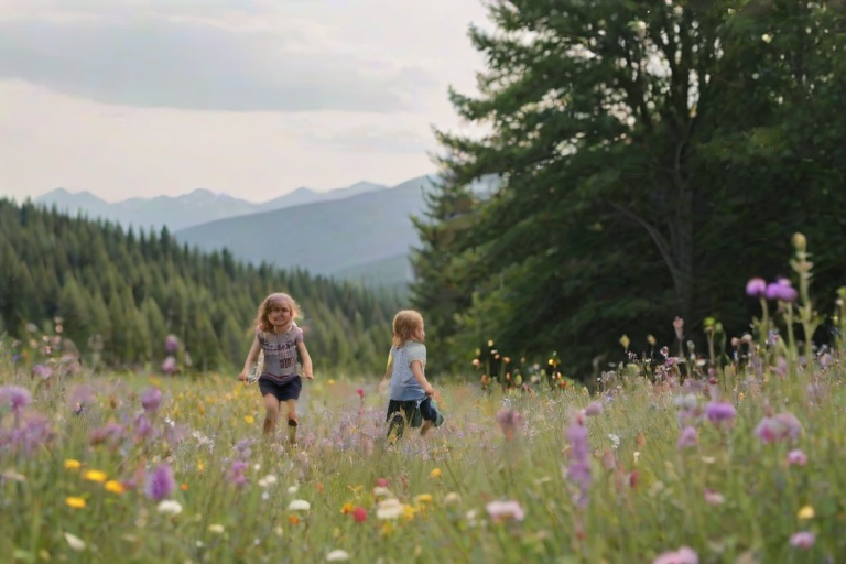 Blurry candid photo of children playing in a field of wildflowers, soft light filtering through the surrounding trees, with distant mountains barely visible through the haze.