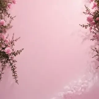 light pink background aesthetic