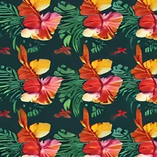 hawaii png