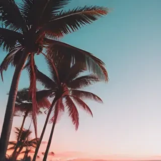 beach aesthetic wallpaper