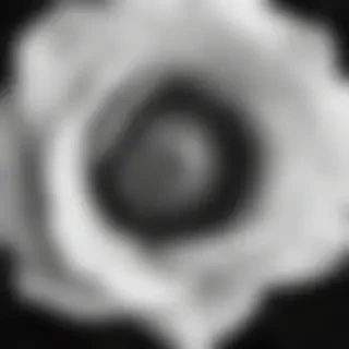 thank you black and white